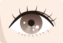 奥二重のイラスト