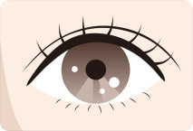 ミックス型のイラスト