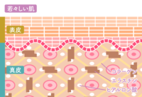 ヒアルロン酸注入2