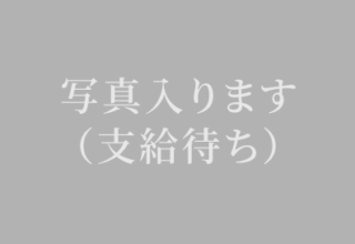 睾丸摘出術のイメージ写真
