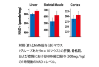 マウスに投与した1時間後の若返り物質（NAD+）レベルをグラフ化